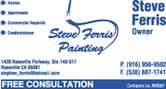 Steve Ferris Painting